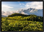 Góry, Kaukaz, Góra, Mount Chugush, Chmury, Wzgórze, Krasnaja Polana, Drzewa, Trawa, Kraj Krasnodarski, Rosja