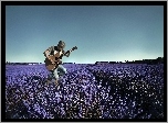 Pole, Lawenda, Mezczyzna, Gitara