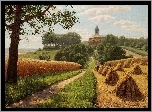 Pole, Zboże, Lato, Żniwa, Obraz