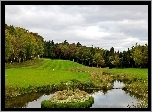 Pole, Golfowe, Staw, Las