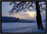 Zima, Pole, Las, Drzewo, Śnieg, Zachód słońca