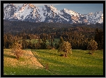 Góry, Ośnieżone, Tatry, Wieś Łapszanka, Drzewa, Łąka, Powiat nowotarski, Polska