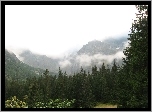 Polska, Zakopane, Góry, Mgła