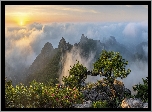 Góry Wolchulsan, Skały, Sosna, Mgła, Wschód słońca, Korea Południowa