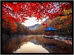 Park Narodowy Naejangsan, Drzewa, Staw, Altana, Jesień, Jeongeup, Korea Południowa