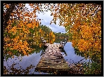 Jezioro, Jesień, Drzewa, Pomost, Ławki, Liście