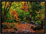 Ogród japoński, Drzewa, Krzewy, Jesień, Portland Japanese Garden, Portland, Oregon, Stany Zjednoczone