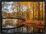 Holandia, Prowincja Geldria, Gmina Brummen, Posiadłość Huis Voorstonden, Park, Staw, Jesień, Mostek