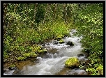 Potok, Kamienie