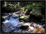 Potok, Tatry