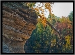 Powalone, Drzewo, Skała, Las