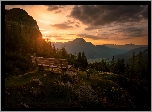 Austria, Tyrol, Powiat Reutte, Góry Alpy, Ławka, Drzewa, Zachód słońca, Chmury