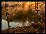 Jesień, Drzewa, Przebijające światło, Jezioro Jack London, Kołyma,  Obwód magadański, Rosja