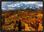 Las, Drzewa, Chmury, Jesień, Góry, San Juan Mountains, Przełęcz, Dallas Divide, Kolorado, Stany Zjednoczone