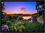 Jezioro, Przyroda, Wędkarze