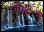 Wodospad, Purpurowe, Kwiaty