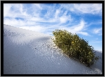 Pustynia, Wydma, Rośliny, Biały, Piasek, Pomnik narodowy, White Sands National Monument, Nowy Meksyk, Stany Zjednoczone