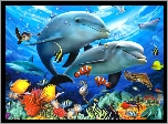 Rafa, Koralowa, Rybki, Delfiny