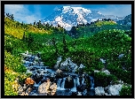 Stany Zjednoczone, Góra, Mount Rainier, Park Narodowy Mount Rainier, Dolina, Łąka, Potok, Kamienie, Drzewa