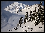Zima, Góry, Stratowulkan, Mount Rainier, Drzewa, Park Narodowy Mount Rainier, Stan Waszyngton, Stany Zjednoczone
