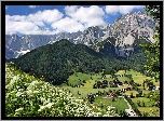 Austria, Gmina Ramsau am Dachstein, Góry Alpy Salzburskie, Domy, Dolina, Roślinność