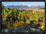 Park Narodowy Grand Teton, Góry, Teton Range, Las, Drzewa, Rzeka Snake River, Stan Wyoming, Stany Zjednoczone