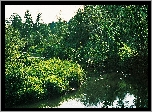 Rawka, Bolimowski, Park, Krajobrazowy