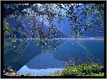 Norwegia, Region Trondelag, Jezioro Eidsvatnet, Drzewo, Góry, Odbicie