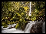 Wodospad, Elowah Falls, Rzeka, McCord Creek, Rezerwat Columbia River Gorge, Omszone, Kamienie, Głazy, Oregon, Stany Zjednoczone