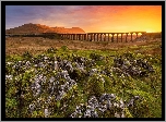 Góry, Most, Wiadukt, Ribblehead Viaduct, Zachód słońca, Skały, Park Narodowy Yorkshire Dales, Anglia