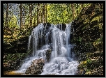 Park stanowy Ricketts Glen, Drzewa, Skały, Wodospad, Stan Pensylwania, Stany Zjednoczone