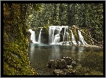 Rezerwat Gifford Pinchot, Rzeka Lewis River, Wodospad, Lower Lewis River Falls, Drzewa, Las, Chmury, Stan Waszyngton, Stany Zjednoczone