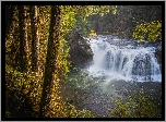 Las, Drzewa, Rzeka, Lewis River, Wodospad, Lower Lewis River Falls, Stan Waszyngton, Stany Zjednoczone