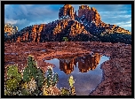 Czerwone, Skały, Góra, Kałuża, Kaktusy, Cathedral Rock, Sedona, Arizona, Stany Zjednoczone