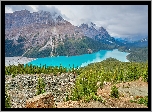 Park Narodowy Banff, Góry Canadian Rockies, Jezioro Peyto, Lasy, Drzewa, Alberta, Kanada