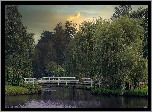 Rosarium Uetersen, Ogród różany, Staw, Mostek, Drzewa, Wierzby płaczące, Uetersen, Szlezwik-Holsztyn, Niemcy