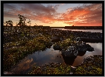 Jezioro Ładoga, Drzewa, Kamienie, Chmury, Zachód słońca, Karelia, Rosja