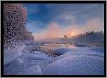 Zima, Mgła, Rzeka Pirenga, Drzewa, Półwysep Kolski, Obwód murmański, Rosja