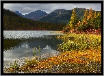 Jesień, Drzewa, Góry Kołymskie, Jezioro, Kołyma, Obwód magadański, Rosja