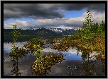 Drzewa, Jezioro Jack London, Góry Kołymskie, Kołyma, Obwód magadański, Rosja