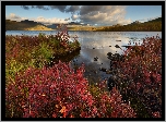 Jezioro Jack London, Góry, Krzewy, Roślinność, Kołyma, Obwód magadański, Rosja