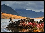 Jezioro Jack London, Góry Kołymskie, Pies, Jesień, Kołyma, Rosja