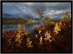 Jesień, Drzewa, Jezioro Jack London, Góry, Kołyma, Obwód magadański, Rosja