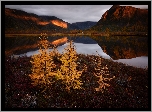 Jesień, Góry, Jezioro Jack London, Drzewka, Kołyma, Obwód magadański, Rosja