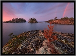 Jezioro Ładoga, Wysepki, Drzewa, Rośliny, Tęcza, Wschód słońca, Karelia, Rosja