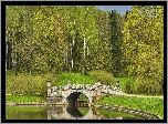 Park, Rzeka Sławianka, Kamienny, Most, Drzewa, Pawłowsk, Petersburg, Rosja
