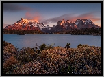 Chile, Patagonia, Góry, Torres del Paine, Jezioro, Jesień, Roślinność, Park Narodowy Torres del Paine