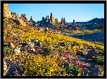 Stany Zjednoczone, Kalifornia, Park Trona Pinnacles, Góry, Skały, Kamienie, Roślinność, Słoneczny, Dzień