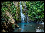 Nowa Zelandia, Wodospad, Kitekite Falls, Omszałe, Skały, Kamienie, Drzewa, Roślinność