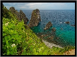 Morze, Skały, Roślinność, Punkt widokowy Shimamui Coast, Półwysep Shakotan, Hokkaido, Japonia